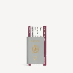 Cartera larga para hombre con espacio para pasaporte y 1 boleto, en gris Balenciaga