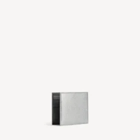 Cartera para pasaporte de hombre, plegada en forma cuadrada, en color plateado
