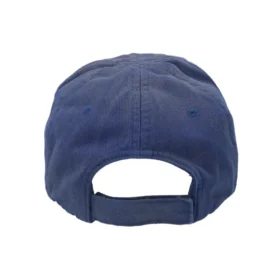 Gorra «Blue» de la Political Campaign destruida 661884310B24277