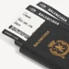 Porta celular tipo pasaporte para hombre en negro