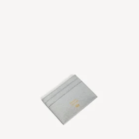 Portatarjetas de pasaporte para hombre en color plateado